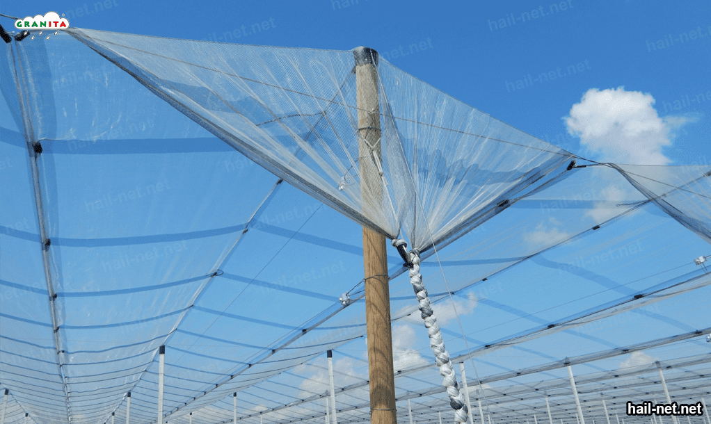 hail net to prevent damage from extreme weather